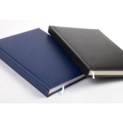 Ежедневник FO 42401